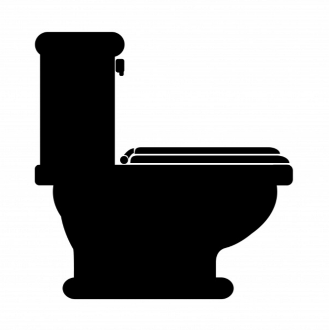 Langley Plumbing Company - toilet repair , replace, install